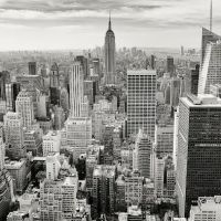 Josh Bernstein, P.C. ico
