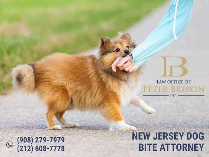 Law Office of Peter Briskin – NJ Injury & Accident Attorney 4