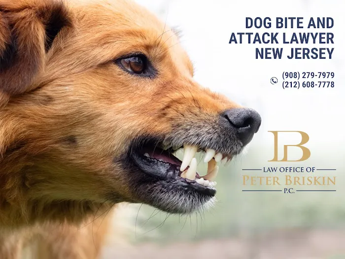 Law Office of Peter Briskin – NJ Injury & Accident Attorney 4