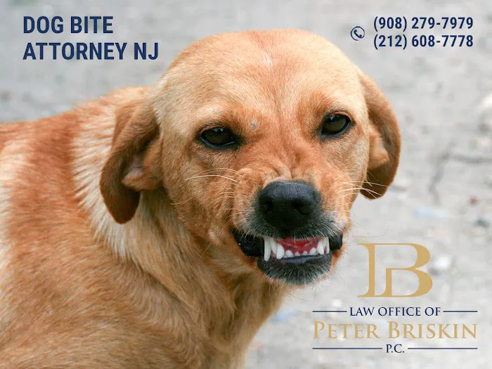 Law Office of Peter Briskin – NJ Injury & Accident Attorney 4