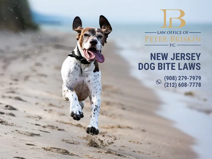 Law Office of Peter Briskin – NJ Injury & Accident Attorney 4