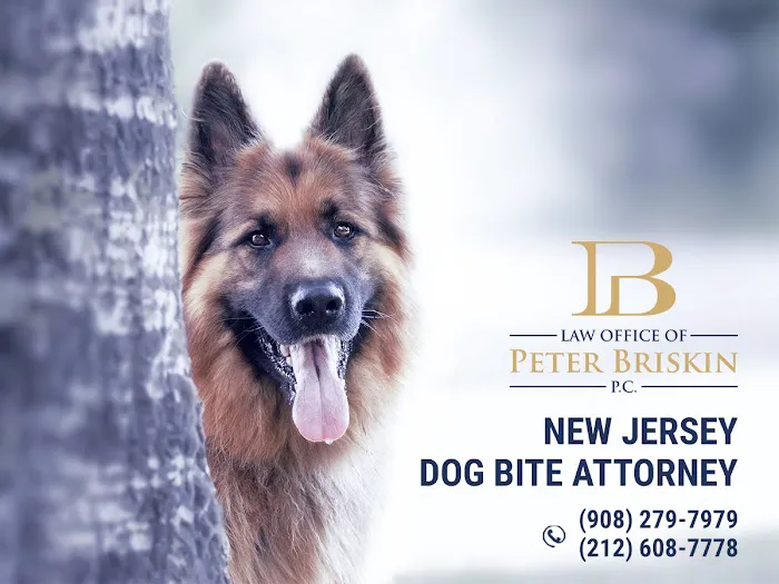 Law Office of Peter Briskin – NJ Injury & Accident Attorney 4