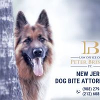 Law Office of Peter Briskin – NJ Injury & Accident Attorney ico
