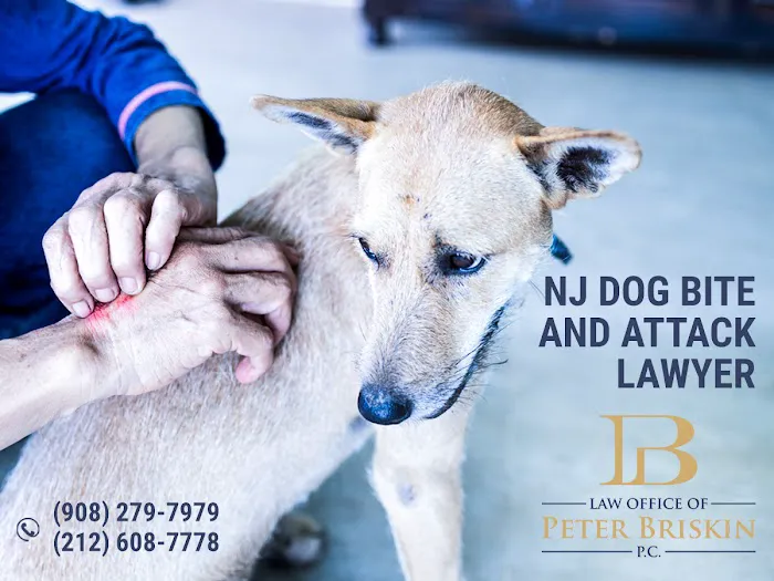 Law Office of Peter Briskin – NJ Injury & Accident Attorney 4
