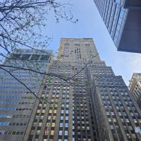 Danziger Legal PLLC ico