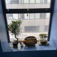 Law Office of Muhammed Kus PLLC ico