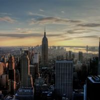 The Stein Law Group ico