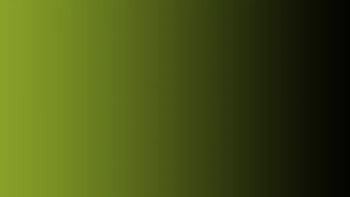 Wallitsch & Iacobelli LLP 4