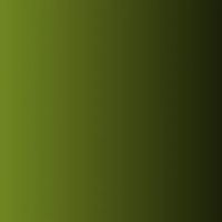 Wallitsch & Iacobelli LLP ico