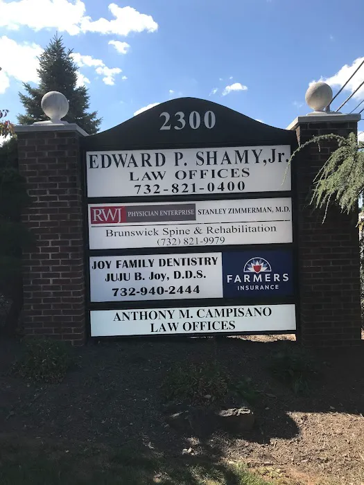 Law Offices of Anthony M. Campisano, Esq. 4