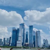 Greenbaum Law Group ico