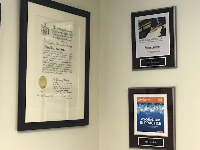 Fabrikant Law, LLC 5