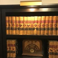 Peter M. Agulnick, P.C.; Attorney; false arrest; judgment enforcement; litigation ico