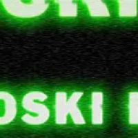 The Orloski Law Firm ico