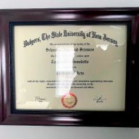 Bernstein & DiBenedetto Aggressive Criminal Attorneys ico