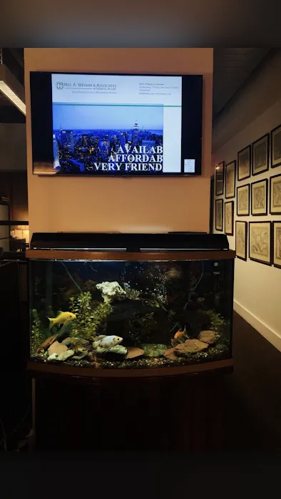Neil Weinrib & Associates 4