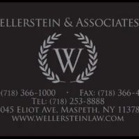 Wellerstein & Associates ico
