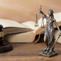 The Stein Law Group ico