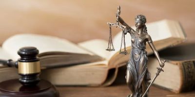 The Stein Law Group