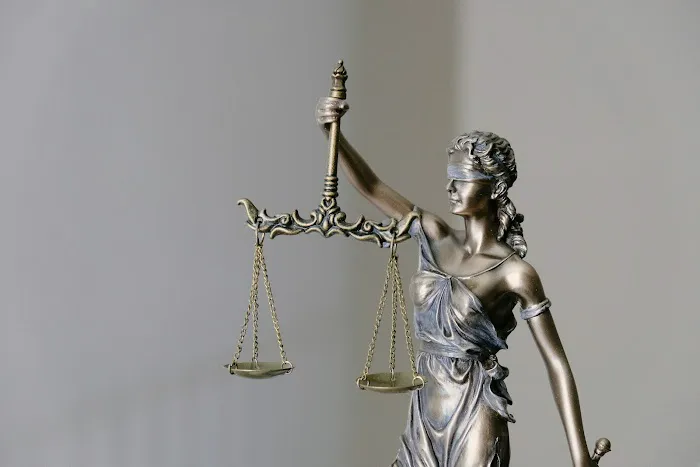 Brownstone Law 4