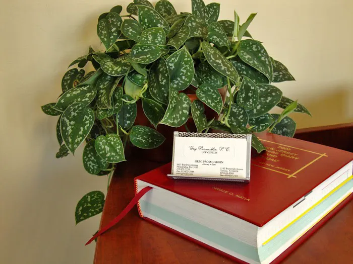 Law Offices of Greg Prosmushkin, P.C. 4
