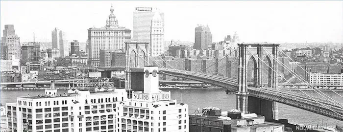 Rothberg, Straus & Contrubis, LLP 4