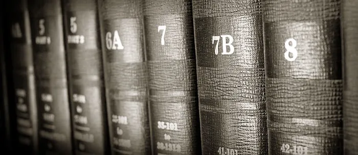 Triunfel Law 5