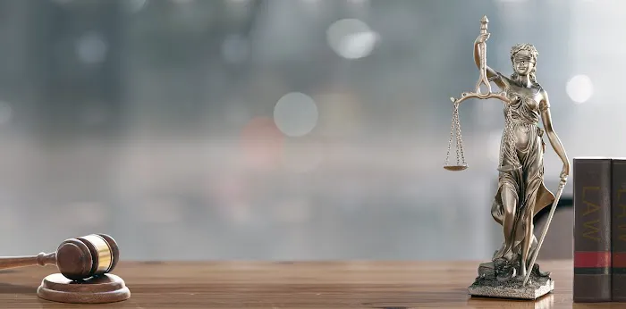 Triunfel Law 5