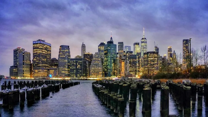 Morgan Legal Group I Estate Planning & Probate Attorney New York City 4