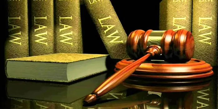Morgan Legal Group I Estate Planning & Probate Attorney New York City 4