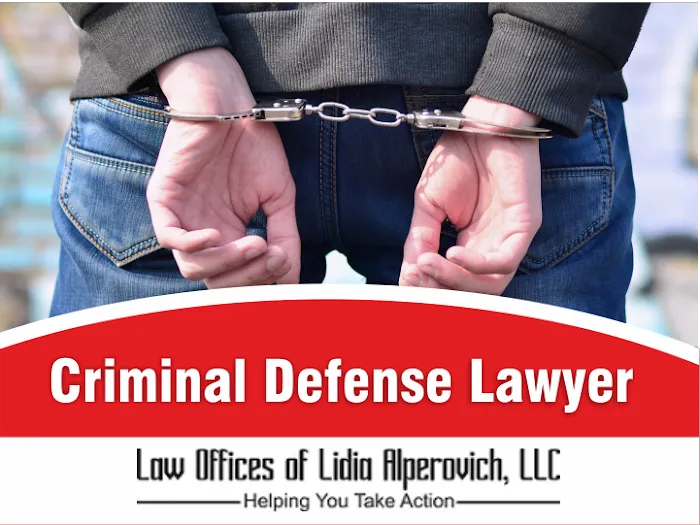 The Law Offices of Lidia Alperovich 4
