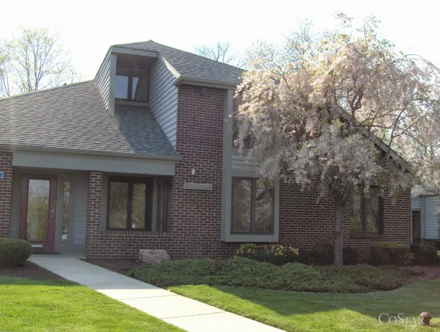 Ilene Young Law Offices 4