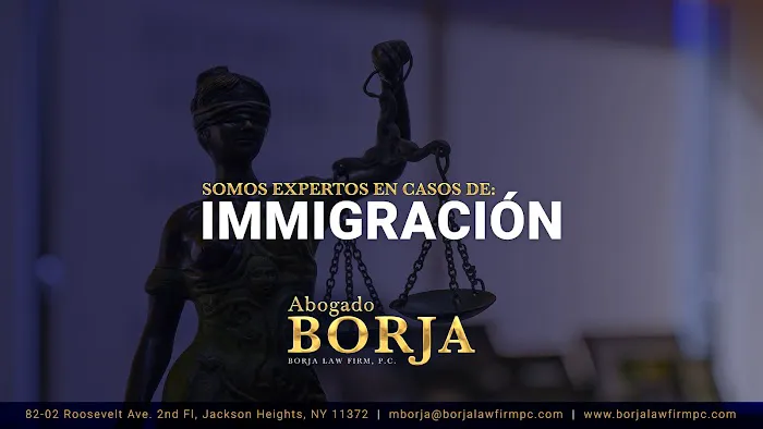 Borja Law Firm, P.C. 4