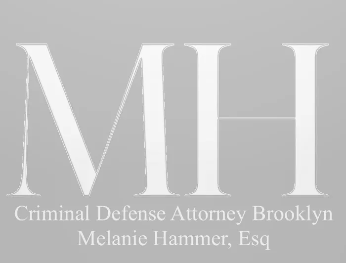 Criminal Defense Brooklyn 4