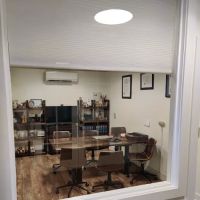 Law Offices of Irina A. Olevsky, PC ico