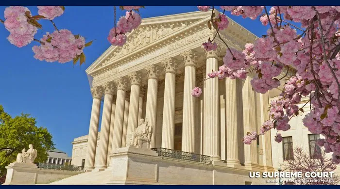 Gregory S. Schaer, LLC 4