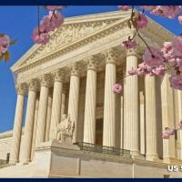 Gregory S. Schaer, LLC ico