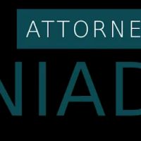 Ely Laniado, Attorney at Law ico