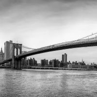 Parlanti & Cooperman LLP ico