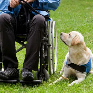 Kaufman Workers' Compensation Law 4