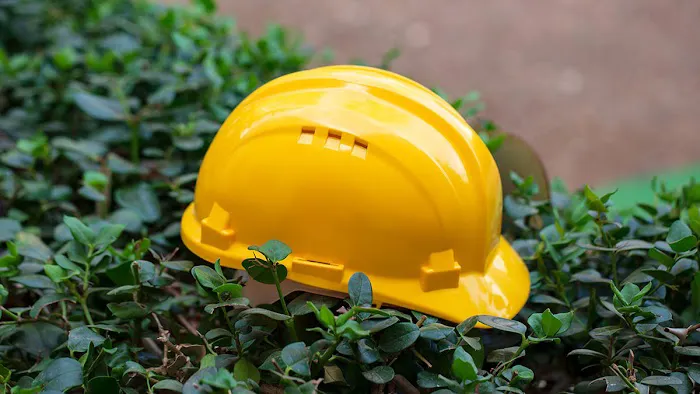 Kaufman Workers' Compensation Law 4