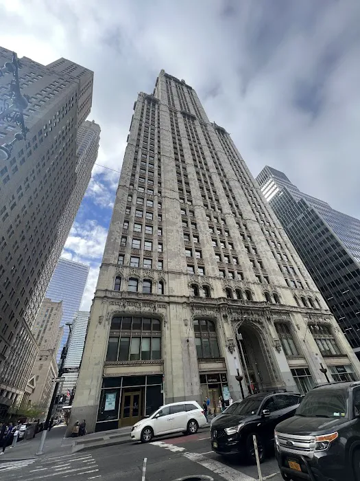 Wolfson & Carroll 4