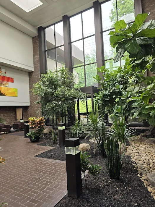 Murano & Roth, LLC 4