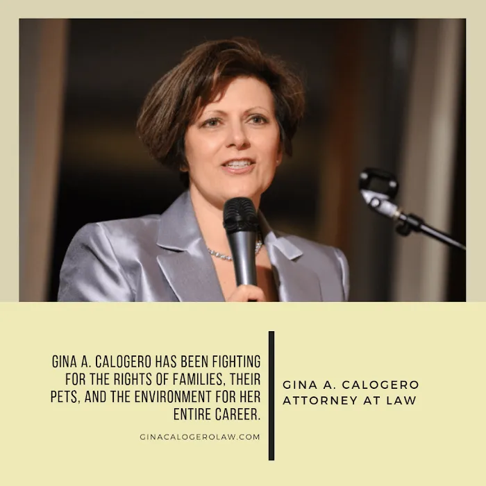 Gina A. Calogero, Esq. 4
