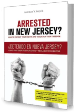 Andres Mejer Law 5
