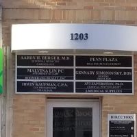 Malvina Lin PC Attorney ico