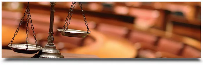 Regev Law, P.C. 4