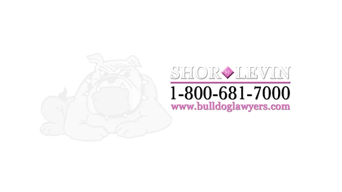 The Bulldog Lawyers 4