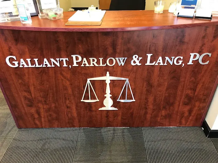 Attorney Paul Lang 4