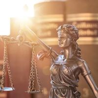 THE HANNYE LAW FIRM ico